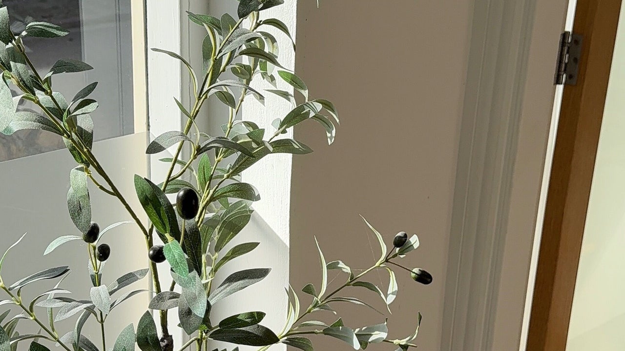 06534746-773e-4c10-a2ef-0d51f7a49c73-thegelclub-gb-england-stamford-fresha-3091005