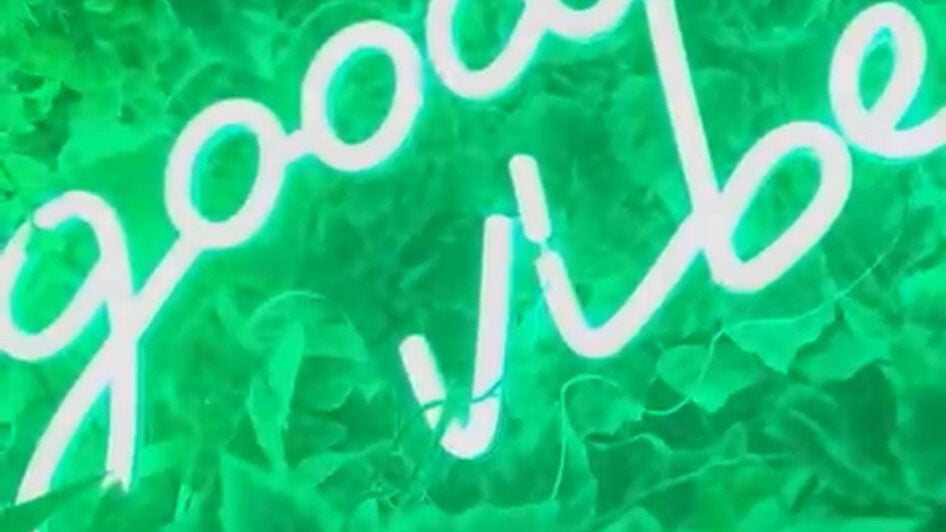 0f18854f-6633-492d-9b8d-11c253e8185c-beebeautifultwo-gb-england-huyton-fresha-2774151