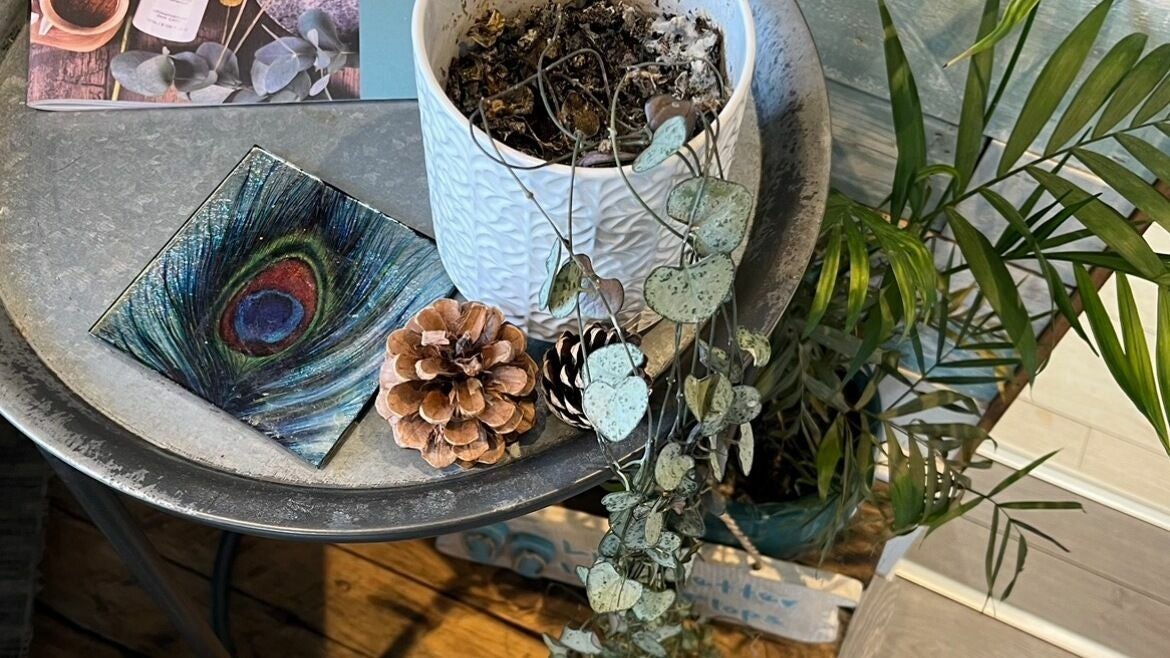 0f800e3a-0e27-42e5-82cb-eed27900d8ad-peacockbeautylounge-gb-england-shalford-fresha-9834279