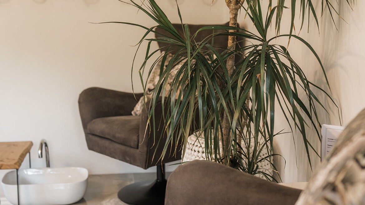 306bff8e-6abe-4311-8145-1172361ffef4-treatmentrooms-gb-england-hastings-fresha-4827604