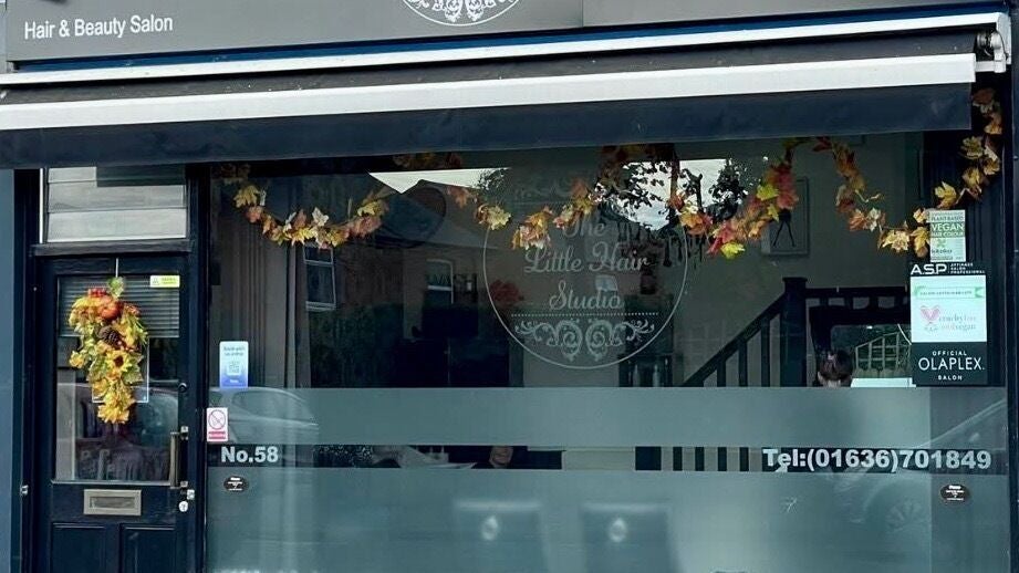 33436ecd-a96a-4fcd-ac97-14132c78c715-thelittlehairbeautystudio-gb-england-newark-fresha-2809916
