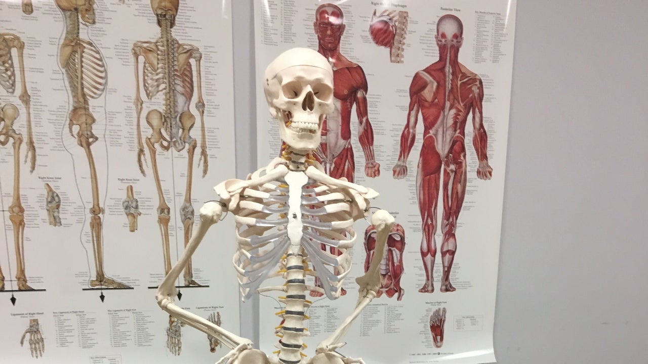 36c734f2-4828-471b-b3fc-39ce8a69d343-coretherapies-gb-england-folkestone-fresha-8211473