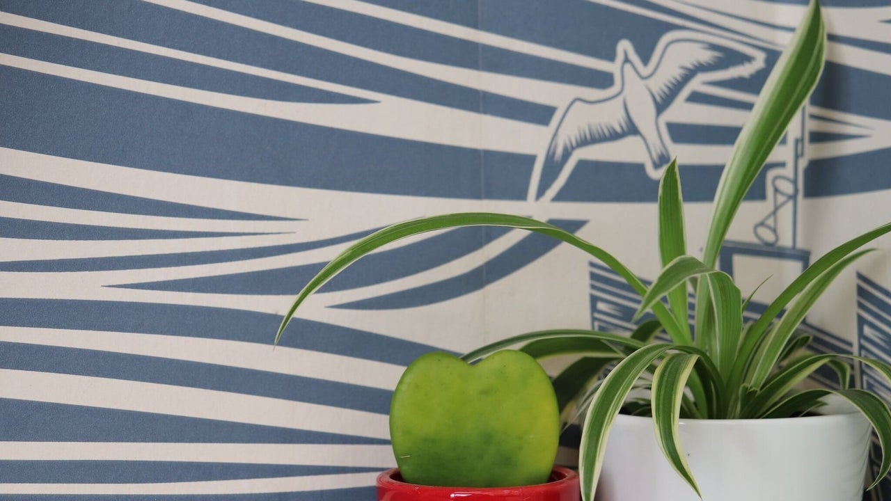 3a224f45-3570-44bb-abf7-6ad3e5a0aa2b-frasershairstudionailbar-gb-england-newquay-fresha-6919898