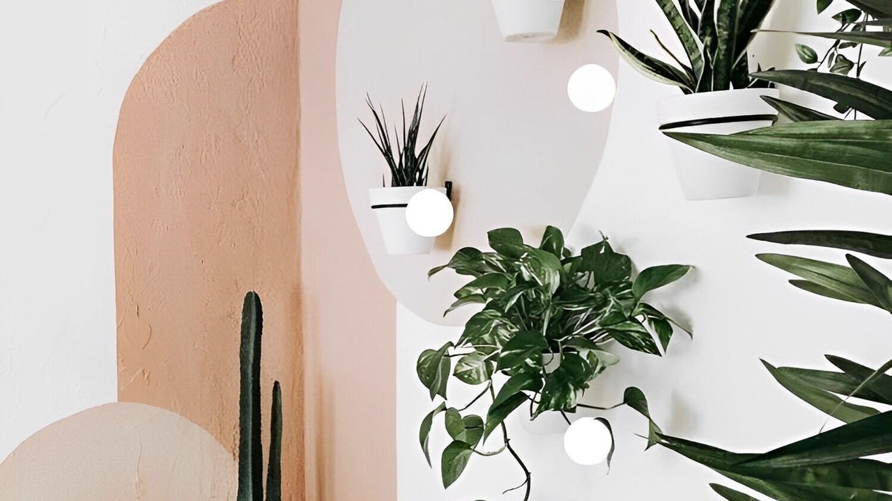 3ae80865-4c6c-47da-b8a1-473110616c3f-tytwtbeauty-gb-wales-cardiff-llandaffnorth-fresha-8456358