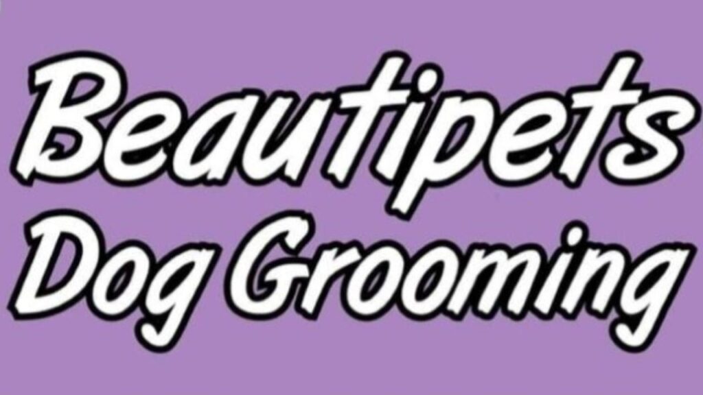 4814d79c-01cf-4c6e-b0c4-b75315904873-beautipetsdoggroomingschool-gb-motherwell-fresha-8873060