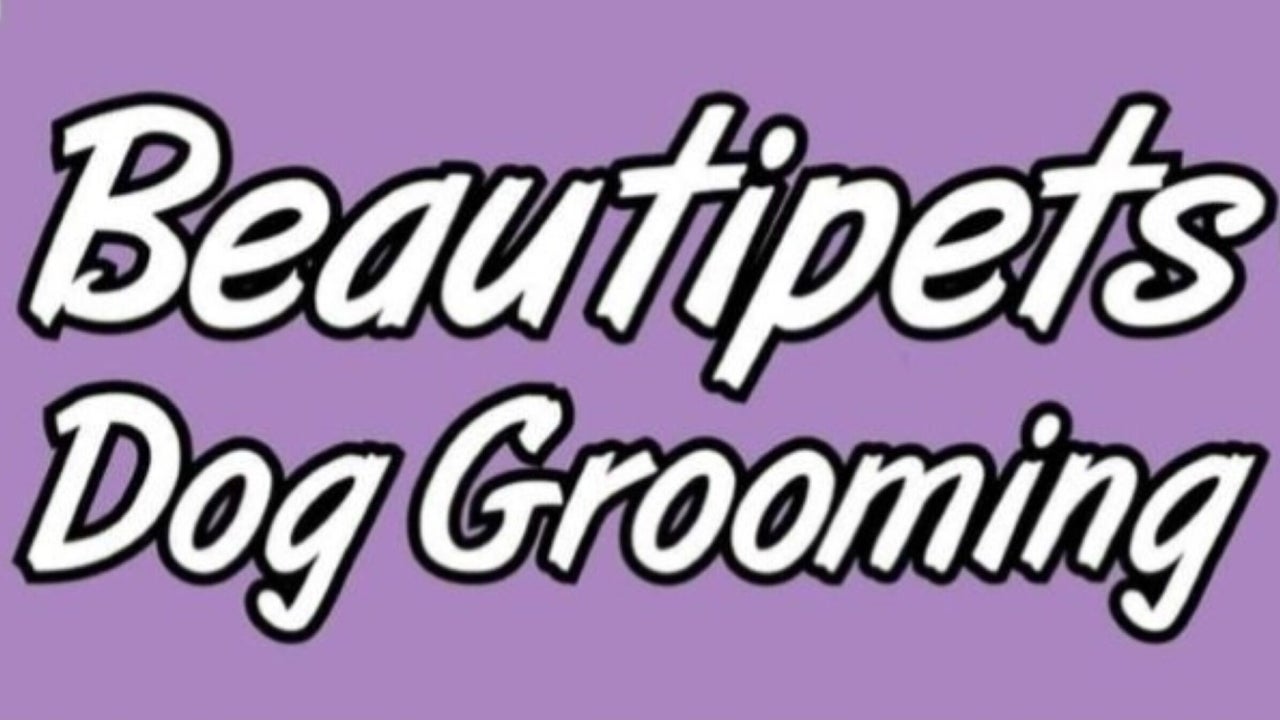 4814d79c-01cf-4c6e-b0c4-b75315904873-beautipetsdoggroomingschool-gb-motherwell-fresha-8873060
