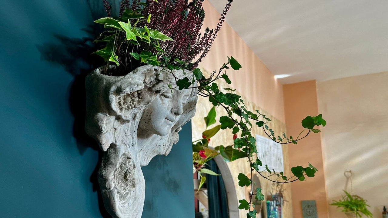 48a0a8eb-8575-47dd-b67b-844c7ffb0256-manubotanicalshairstudio-gb-england-bristol-fresha-3349776