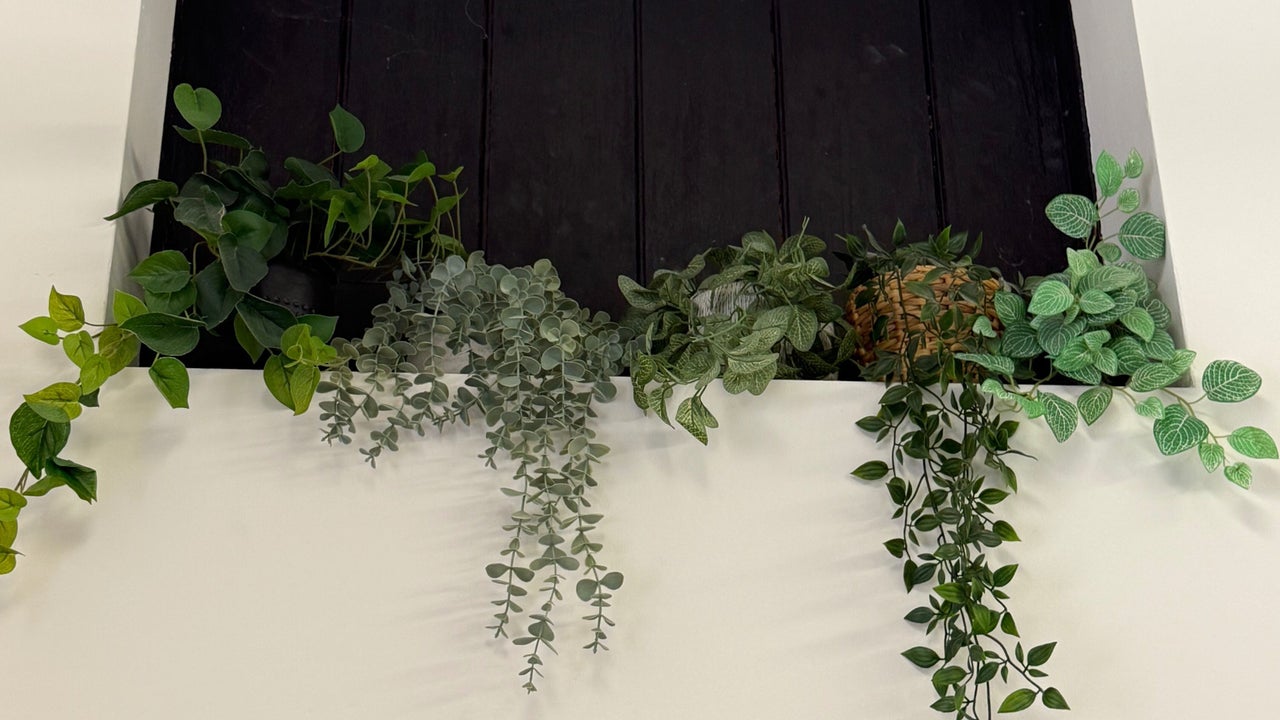 640791d2-3d2b-4eae-8669-8880cb6888b0-willowhairandwellbeing-gb-england-woodbury-woodburybusinesspark-fresha-5773158