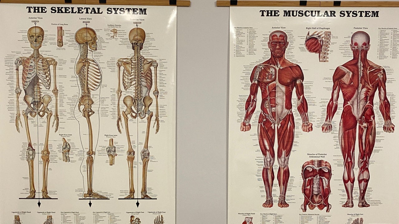 65b4b7d5-6708-4afc-8b87-a9f1df0d35c2-coretherapies-gb-england-folkestone-fresha-6633547