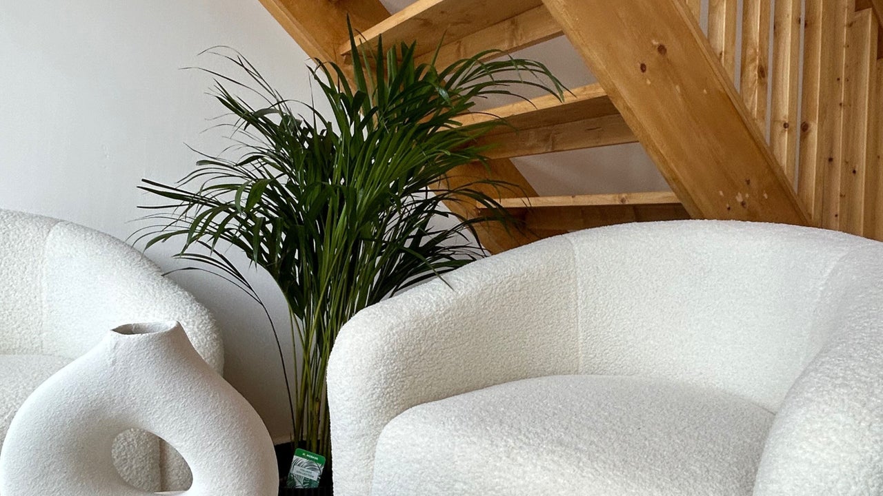 6923d9fd-d168-46ec-b028-2044374394b9-elysian-wilpshire-gb-england-blackburn-fresha-1276065