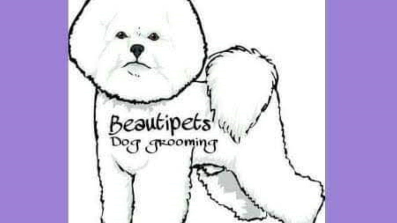 6c102b59-2fae-4744-a615-79f955876fea-beautipetsdoggroomingschool-gb-motherwell-fresha-8172290