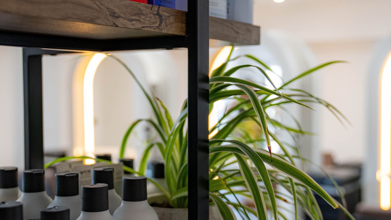 72bf652f-1079-4e10-bbf1-f9be5383d63a-thehivehairbeauty-gb-england-staustell-fresha-1552519