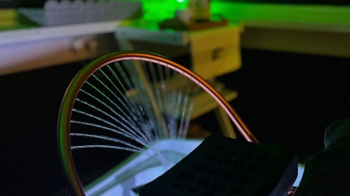 7ebdee13-f176-4080-87bf-40ccd39e0906-morganandcompanyhairandbeauty-gb-england-nottingham-whatton-fresha-9817657