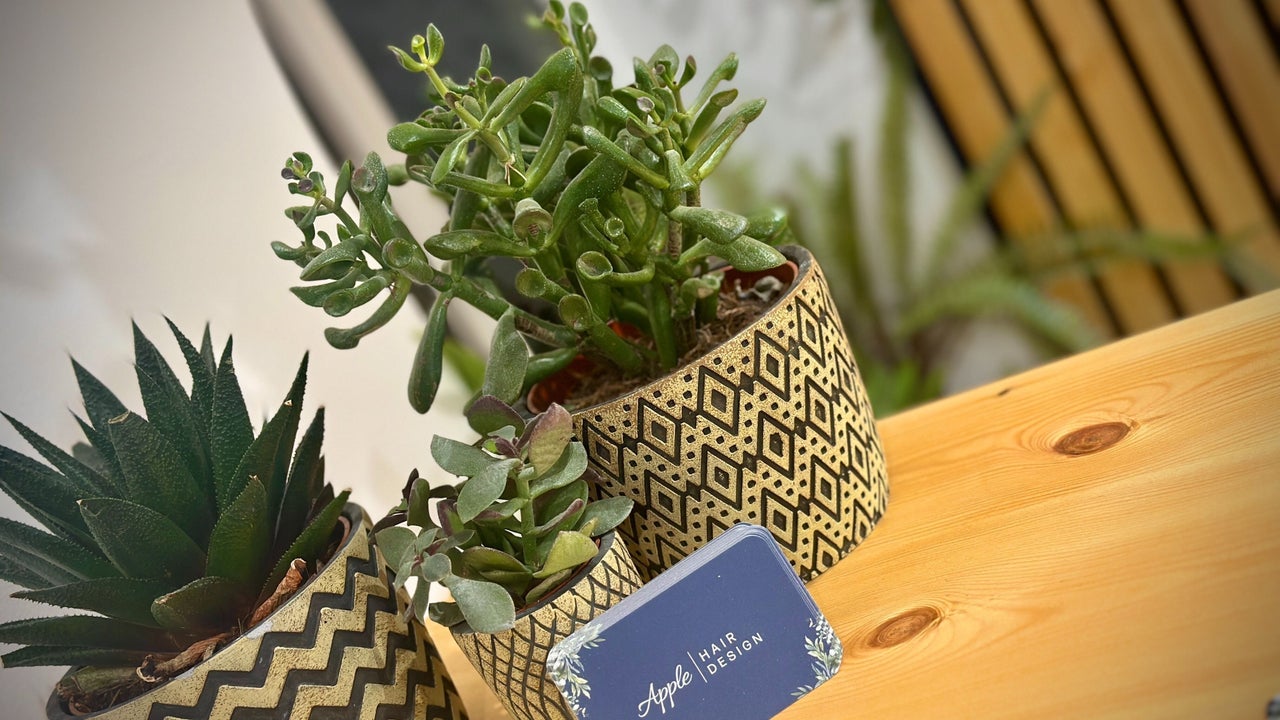 a03a2b1d-3885-4dd0-9bf9-93bc383029ab-applehairdesign-gb-england-holt-fresha-1944012