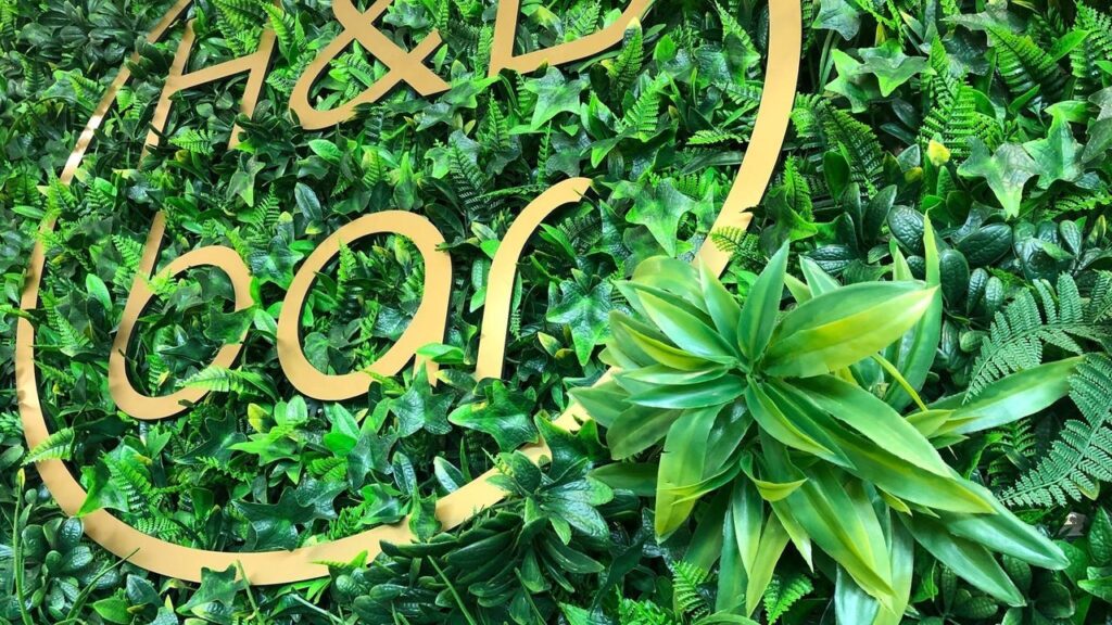 d6b26723-3f2e-4bba-b686-960684af2c88-hairandbeautybar-gb-england-yeovil-fresha-8313479