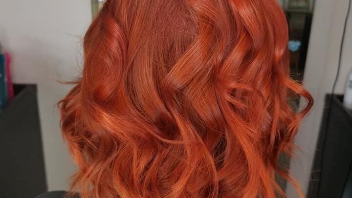 d88a5d70-6b94-49b8-8dbb-ae28fd56550f-4260482