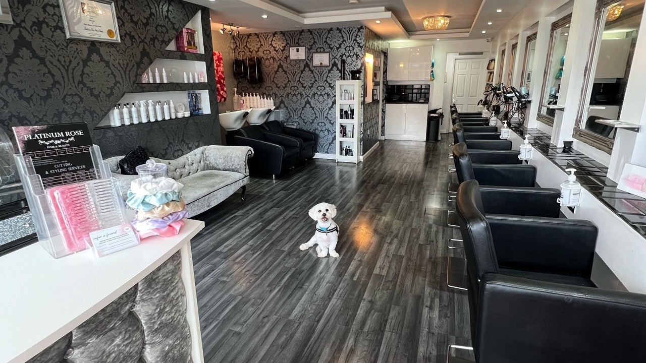 e5081102-bcea-43c2-a76a-e85300cfbde1-platinumrosehairbeauty-gb-england-canveyisland-fresha-4172823