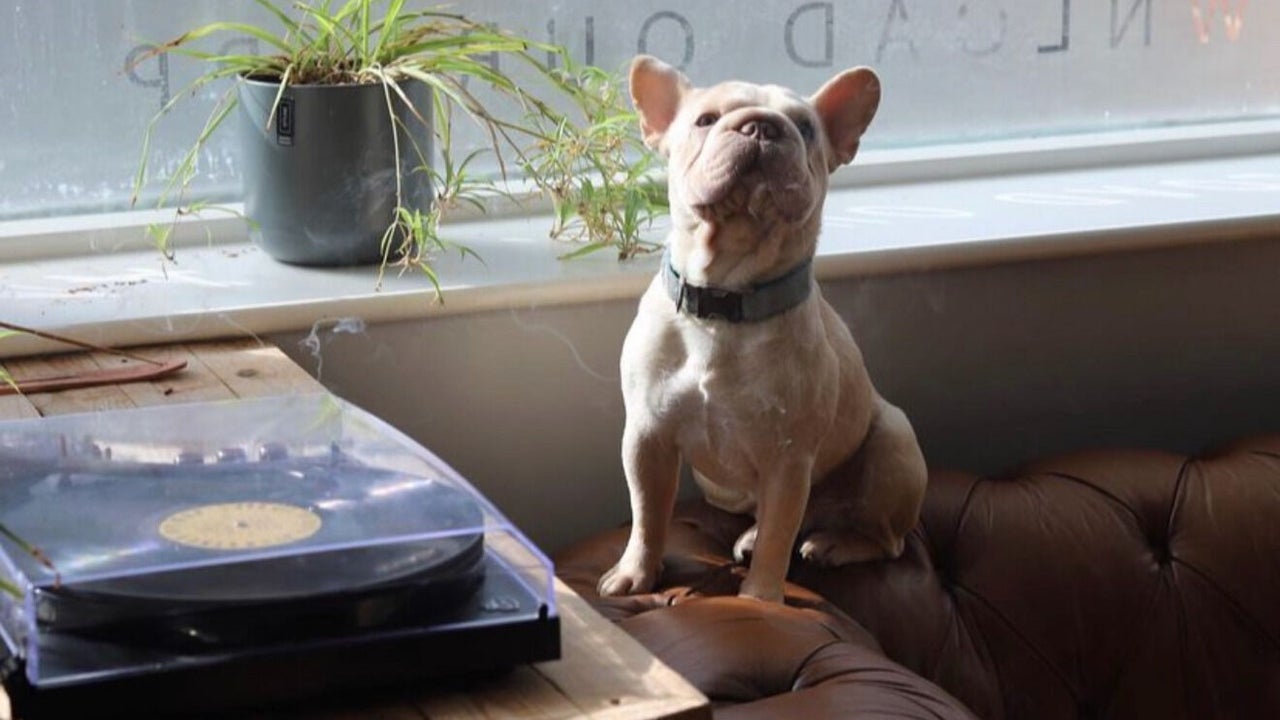 ee20140d-e253-43fd-b53d-d012eeec794e-theattentivebarber-gb-england-kingsclere-fresha-9715207