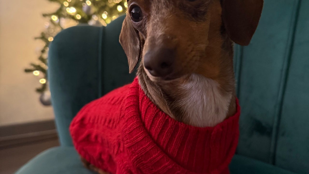 00573f27-b72e-4bf0-95a7-b138dae8db3a-cloud9hairdesign-gb-england-lowestoft-fresha-9448388