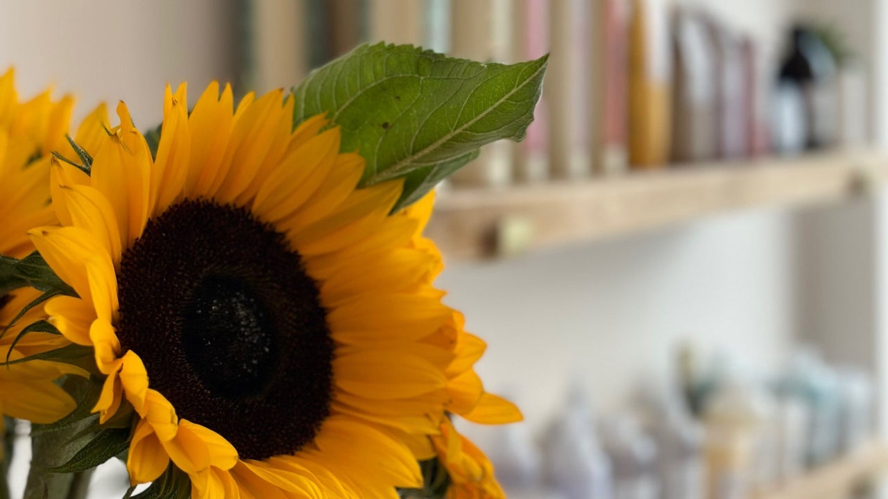 02e95e71-2969-4fe7-aff7-6874449c5313-2635398