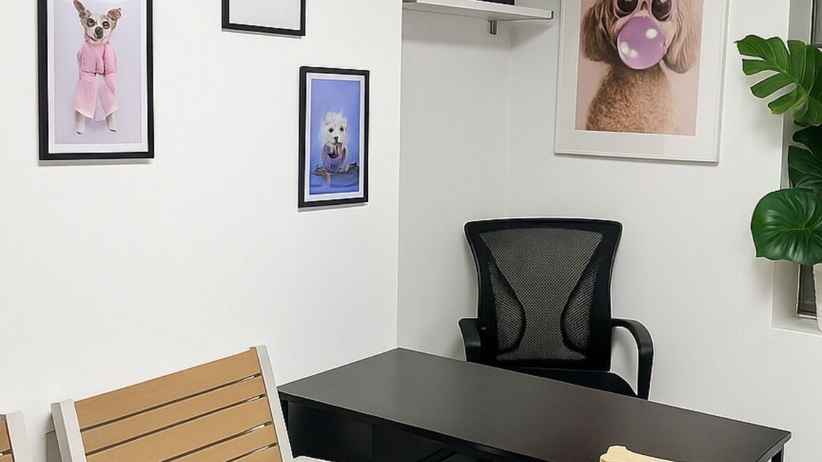 0bea1379-e237-455e-905d-208b46818ba4-pawlourspa-doggroomers-gb-england-london-fresha-8099736