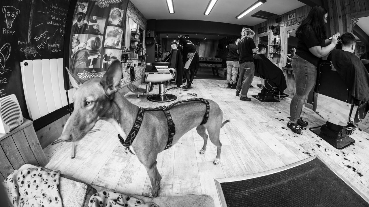 1169d2ed-5c14-4c99-a18d-2df820b2c4e3-maverickbarbers-gb-england-winchester-fresha-1258473