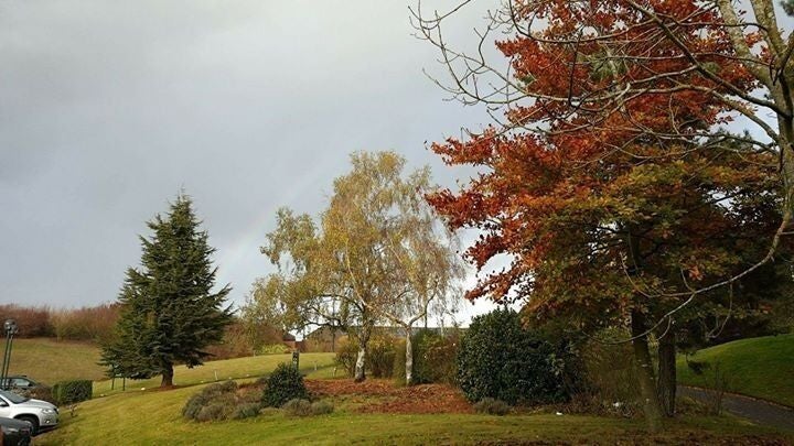 12709688-0080-4fd3-8241-0137af59be63-1894828