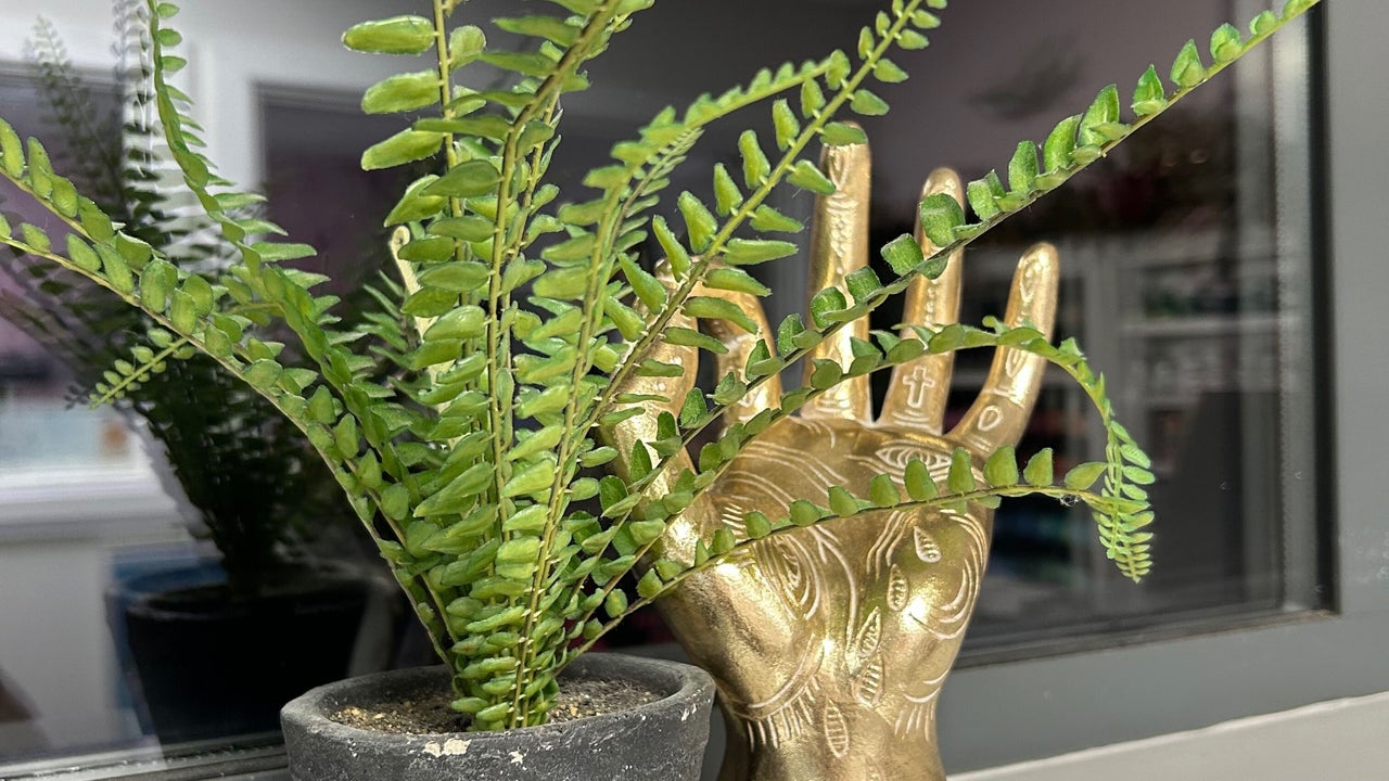 14ff9d3f-de2c-4b35-af91-04e9e976523f-beautybyanjaakbeautypmu-gb-england-highnam-fresha-3039609