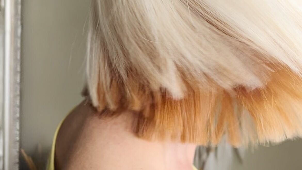 163c4366-3070-4a04-a644-ff7bc6b884b2-amyautumnhair-gb-england-chesterfield-oldbrampton-fresha-6381654