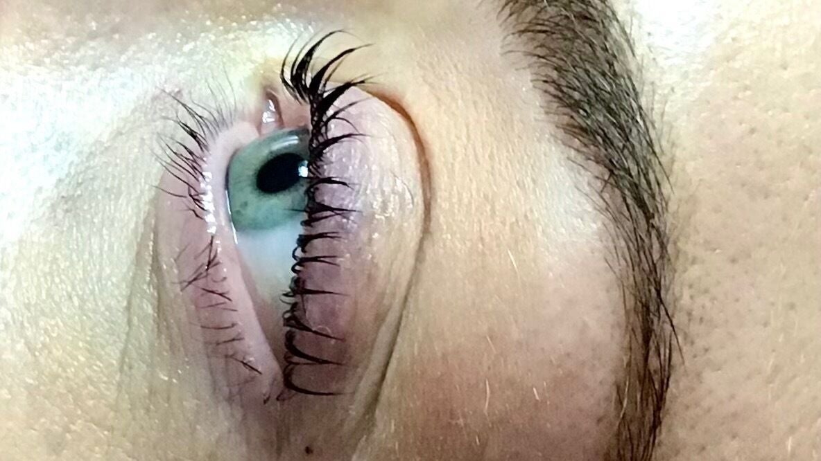 17378a2b-0aa8-41f5-b9d2-c0a8a6f6e971-bellelashandbeauty-gb-england-shirley-fresha-7117652