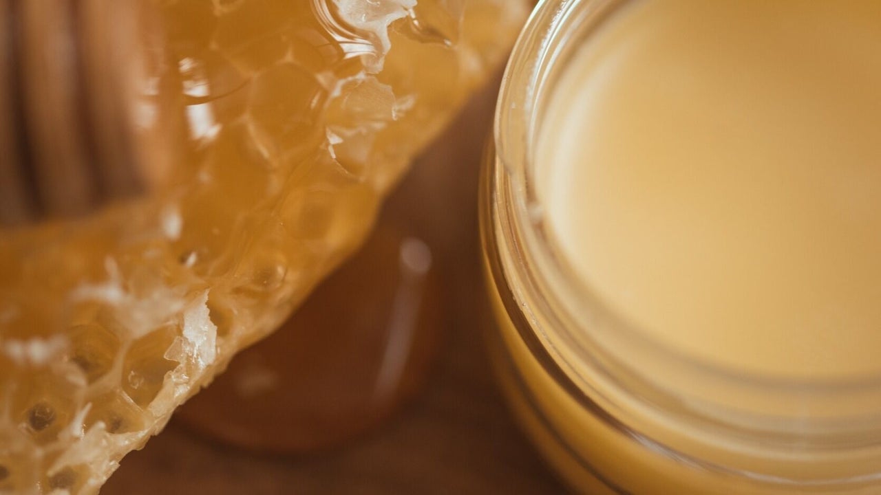 181d034e-323f-4fbf-aa9e-01a4a905d5b2-bramblebeeatthegrand-gb-england-lythamstannes-fresha-3186271