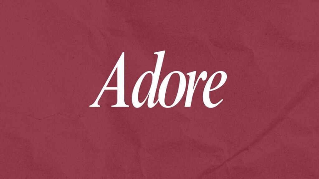 1c1523a7-9728-4163-bd8f-c94920f44b4b-adore-previouslyeyelashbysarah-gb-england-hebburn-fresha-3961730