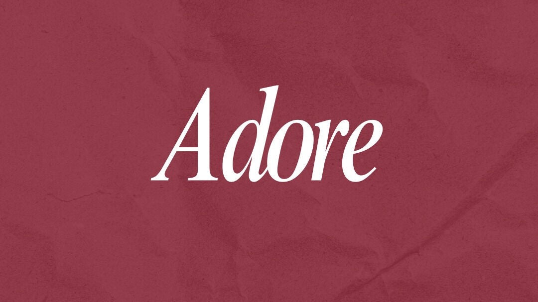 1c1523a7-9728-4163-bd8f-c94920f44b4b-adore-previouslyeyelashbysarah-gb-england-hebburn-fresha-3961730