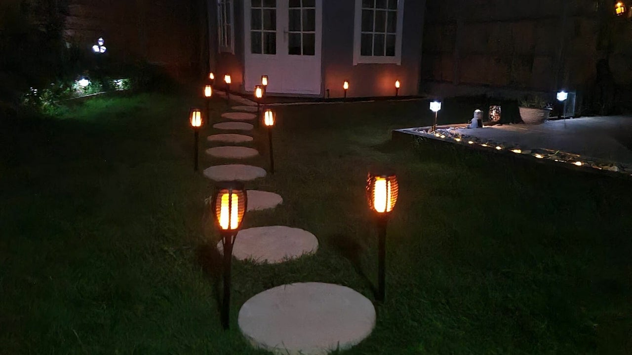 1dff0954-2c58-4840-a5de-26febade16dd-thebeautyhut-ash-gb-england-ash-fresha-8487158