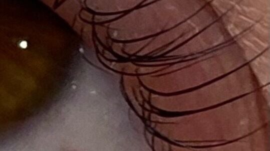 21a2b1b3-7354-432b-a461-64d81fe4d328-2246816