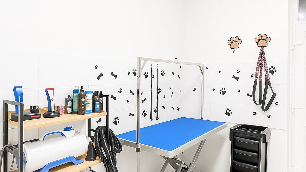 24fb3062-cc96-42c4-9446-5ddb7082788c-pawlourspa-doggroomers-gb-england-london-fresha-1527104