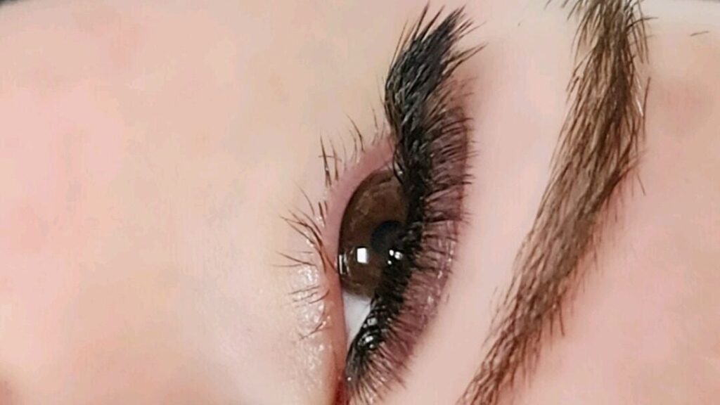 25a96949-1c3d-4245-8ac0-cb122be6c552-3245078