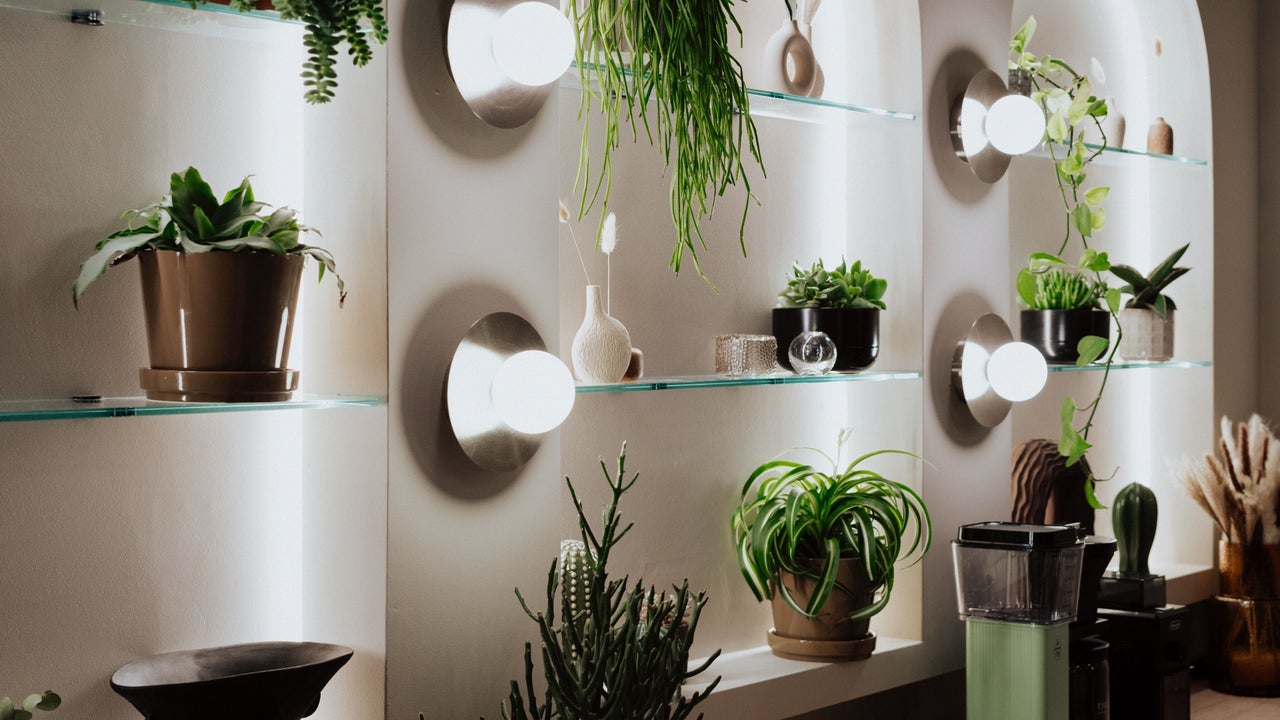 25ef7b79-755e-430c-b689-a46b7b80d8b4-sweatloungechiswick-gb-england-london-chiswick-fresha-2909334