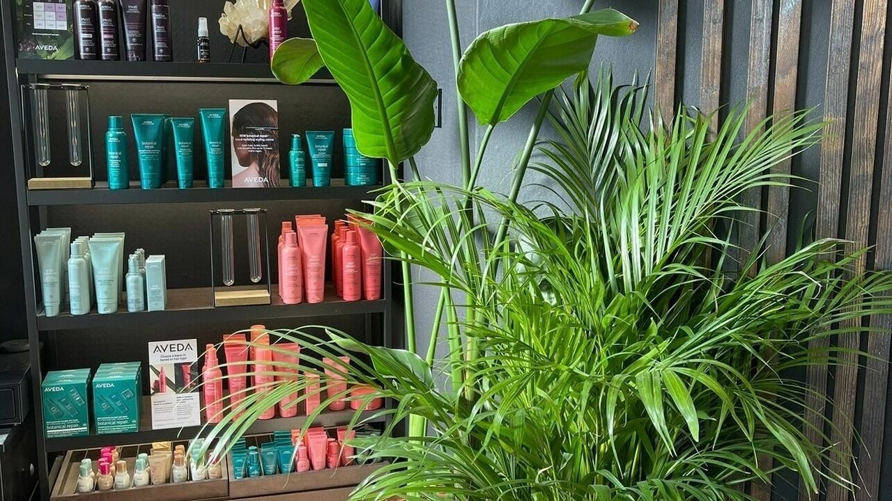 2796a411-181a-44e1-9719-49b0a3daa0da-atelieralexander-bathgate-gb-scotland-bathgate-fresha-3997704