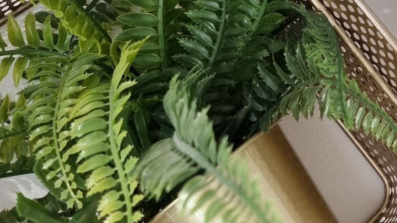 2e6e0605-963b-4377-a133-f42eda6c8760-crowninggloryhair-gb-england-canveyisland-fresha-1282665