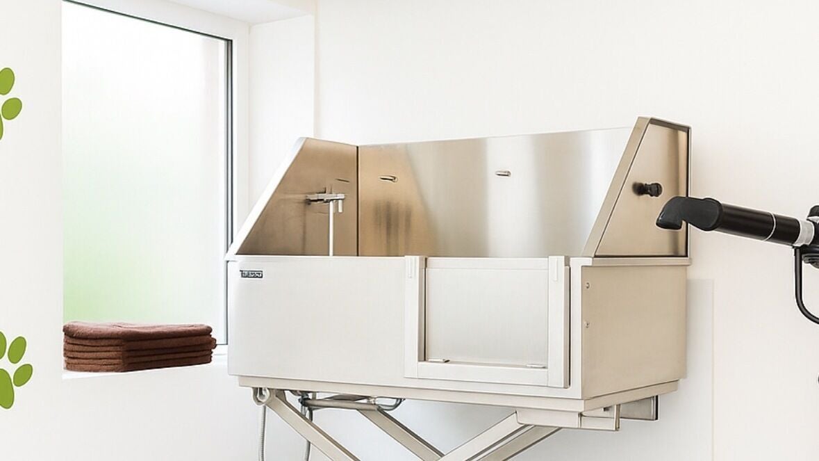 2fc7c991-a592-4cec-a3f3-820614fd7a1a-pawlourspa-doggroomers-gb-england-london-fresha-4672234