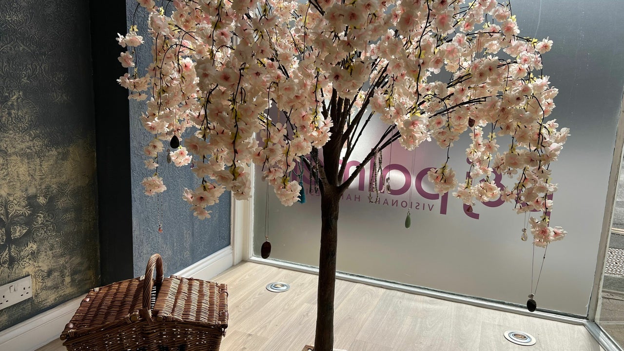 39977a1d-a591-4de4-94c7-4b6c25c800de-8798782