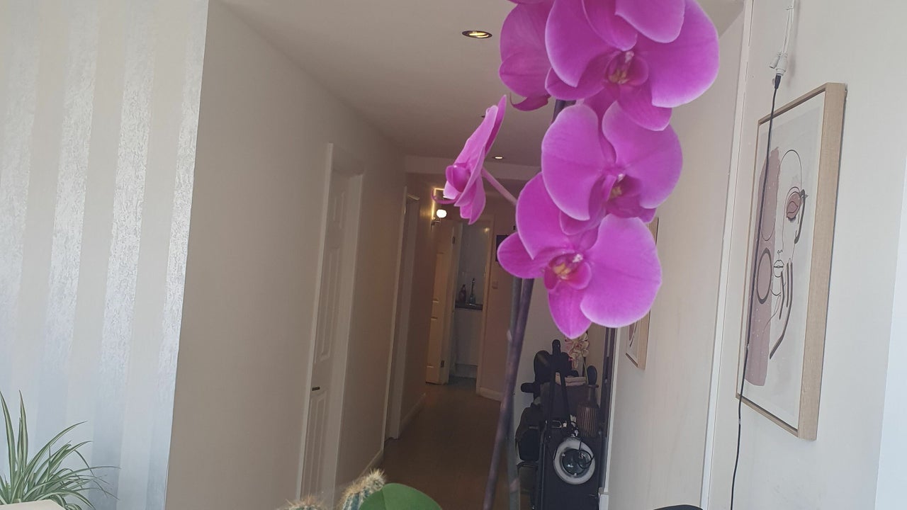 3b89dcf5-7806-4e4e-a421-7b4dda2c5844-3076420