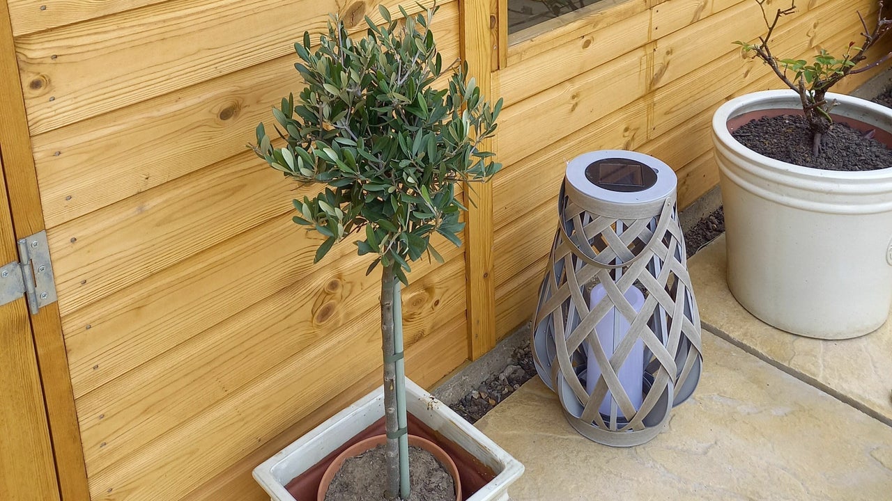 3d3bd6ec-4bc2-41c9-9480-0bd27f0c00f2-5958841