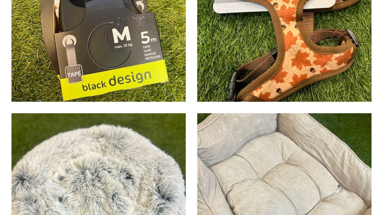 3e87c3a8-937f-45ce-8bb2-eaa85763966b-rawpawz-gb-england-whiston-fresha-6212440