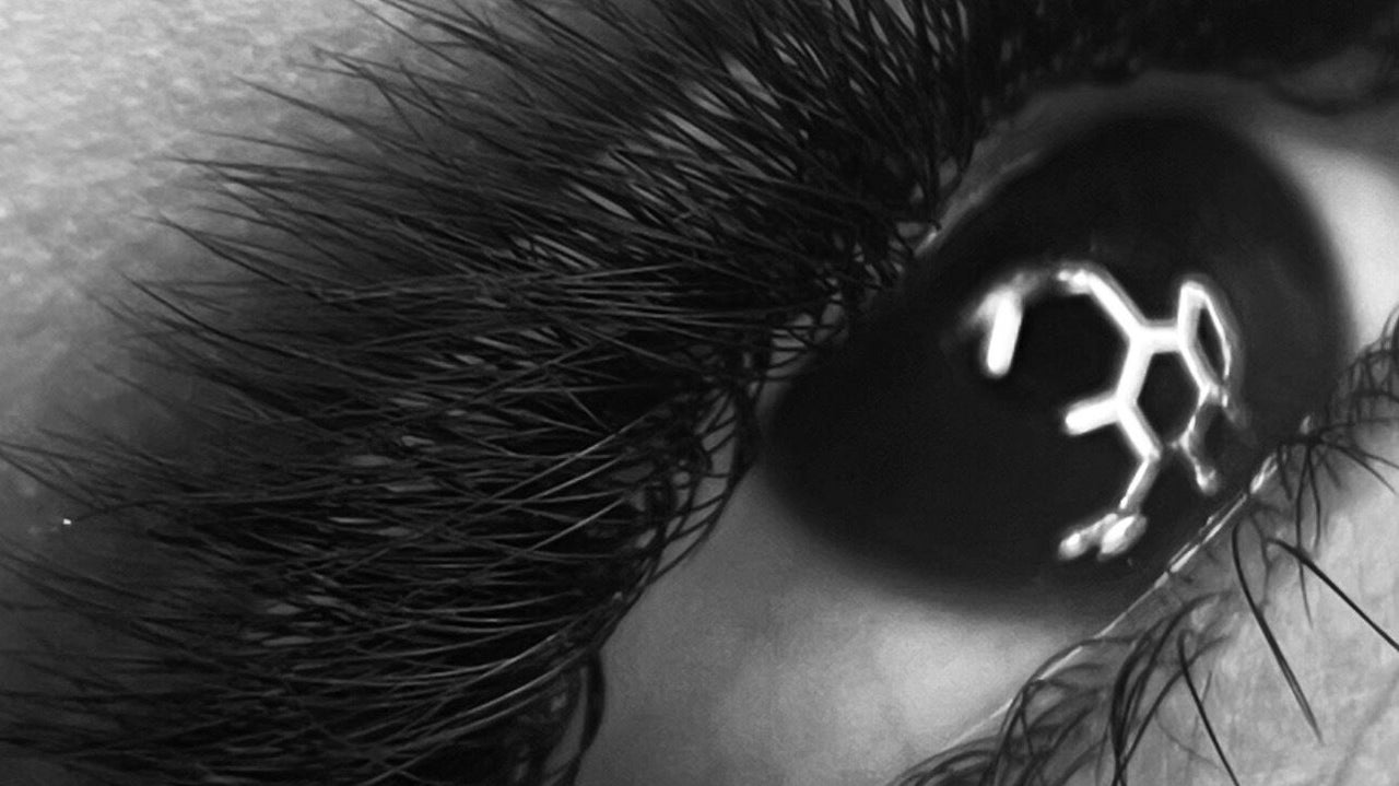 41350e55-544a-44f6-907a-5995395a1a43-bubu-gb-england-evesham-fresha-6834875