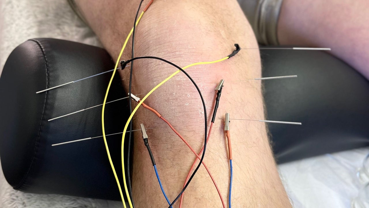 48f0588a-833c-465b-82b5-e76f644e6203-martinabencova-menshubwarrington-gb-england-warrington-cheshire-fresha-3457004