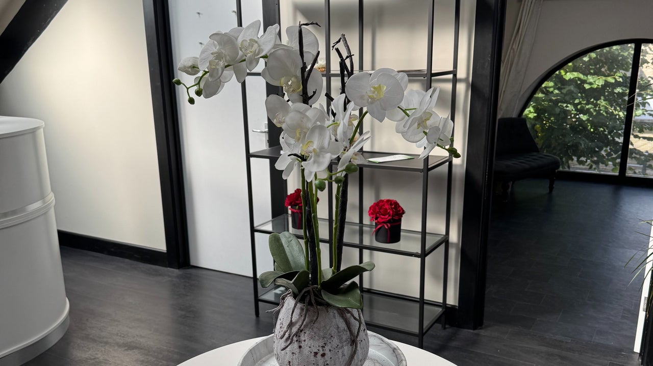 4b1ce01b-d5d3-4f30-bd1d-f008eeb231f0-drsamrigbyfacialaesthetics-gb-england-cockermouth-fresha-7402023