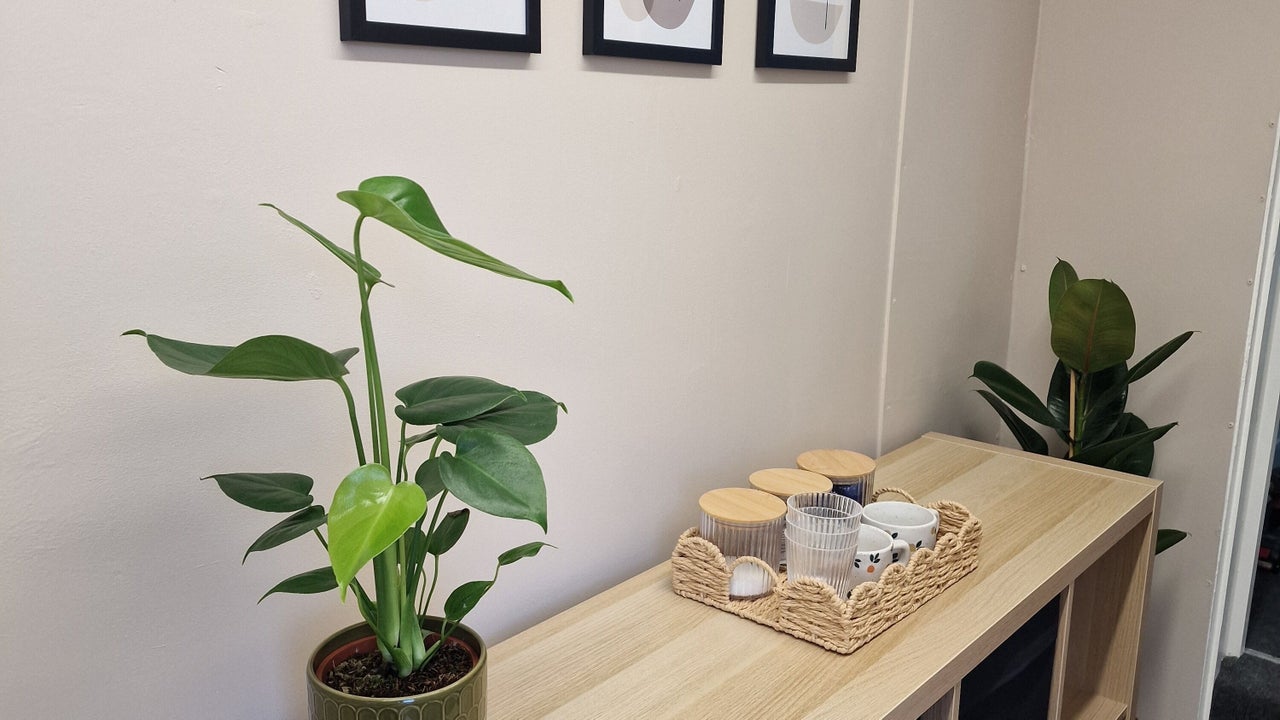 4b2d486b-6983-4333-992a-2e81ed2daa34-dolleduphalesworth-gb-england-halesworth-fresha-3064037