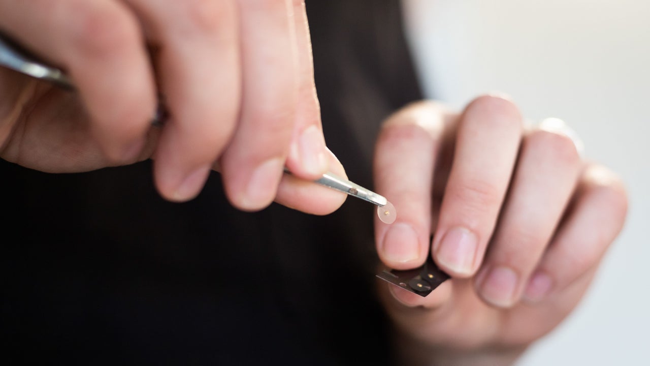 4bfd6aa2-90a3-4bb6-9a2d-1ec0bfaf84d7-deannathomasacupuncturewellbeing-gb-england-middlesbrough-acklam-fresha-1704176